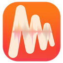 Musi_ Simple Music Stream Tips APK