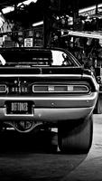 Muscle Cars Wallpapers plakat