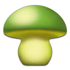 Mushroom - Mushtool アプリダウンロード