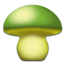 Cogumelos - Mushtool APK