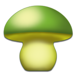 Mushroom - Mushtool