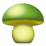 Cogumelos - Mushtool