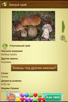 гриб - Mushtool постер