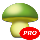 Cogumelos - Mushtool Pro APK
