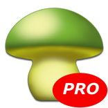 MushtoolPro - Mushroom