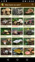 MushtoolPro - Pilz Screenshot 2