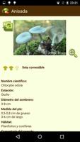 MushToolPro - Bolets Setas captura de pantalla 3