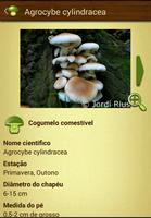 Cogumelos - Mushtool Pro imagem de tela 2