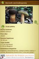 MushtoolPro - Grzyb screenshot 3