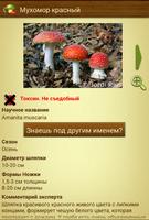 гриб - MushtoolPro постер
