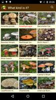 MushtoolPro - Mushroom screenshot 2