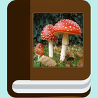 Tipos de cogumelos ícone