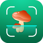 Mushroom ID: Fungi Identifier icône