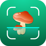 APK Mushroom ID: Fungi Identifier