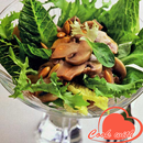 Mushroom recipes APK