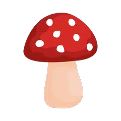Shroomify - USA Mushroom ID APK download