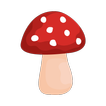 ”Shroomify - USA Mushroom ID