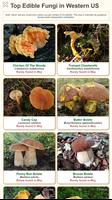 1 Schermata Shroomify - USA Mushroom ID