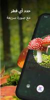 MushroomAI: Fungi ID & Guide الملصق