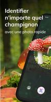 MushroomAI: Fungi ID & Guide Affiche