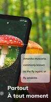 MushroomAI: Fungi ID & Guide capture d'écran 1