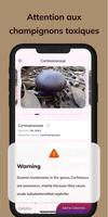 MushroomAI: Fungi ID & Guide capture d'écran 2
