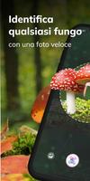 Poster MushroomAI: Fungi ID & Guide