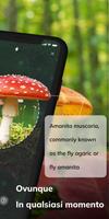 1 Schermata MushroomAI: Fungi ID & Guide