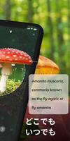 MushroomAI: Fungi ID & Guide スクリーンショット 1