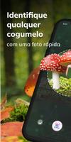MushroomAI: Fungi ID & Guide Cartaz