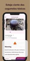 MushroomAI: Fungi ID & Guide imagem de tela 2