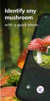 MushroomAI: Fungi ID & Guide penulis hantaran