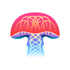 Mushroom Identification icon