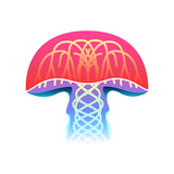 Mushroom Identification APK