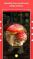 Mushroom Identification poster