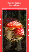 Mushroom Identification screenshot 3