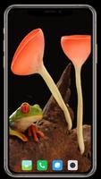 Mushroom Wallpaper ภาพหน้าจอ 1