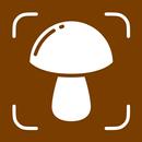 APK Mushroom Identifier - Mushrum