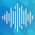 Music Pause SG
