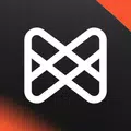 Musixmatch Pro