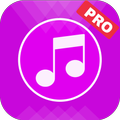 Music Player Pro