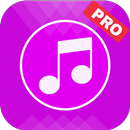 Music Player Pro APK