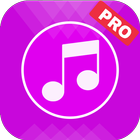 Icona Music Player Pro