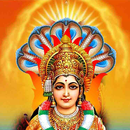 அம்மன் பக்தி பாடல்கள்-Amman Devotional Songs APK