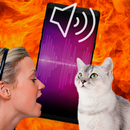 iCat: Cat Translator APK