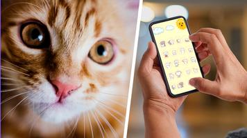 iCat: Cat Translator syot layar 3