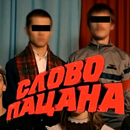 Слава Пацану: Викторина APK