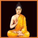 Gautam Buddha Stories Videos APK