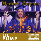 Lil Pump Album (2019) icône