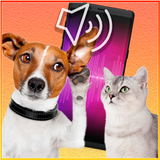 iTranslator: Dog and Cat icône